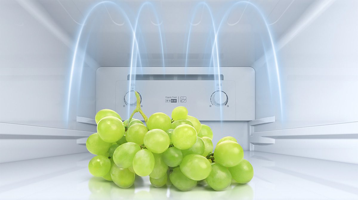 Tủ lạnh Xiaomi Mijia 216L, 3 cửa, thiết kế mỏng, tiết kiệm điện