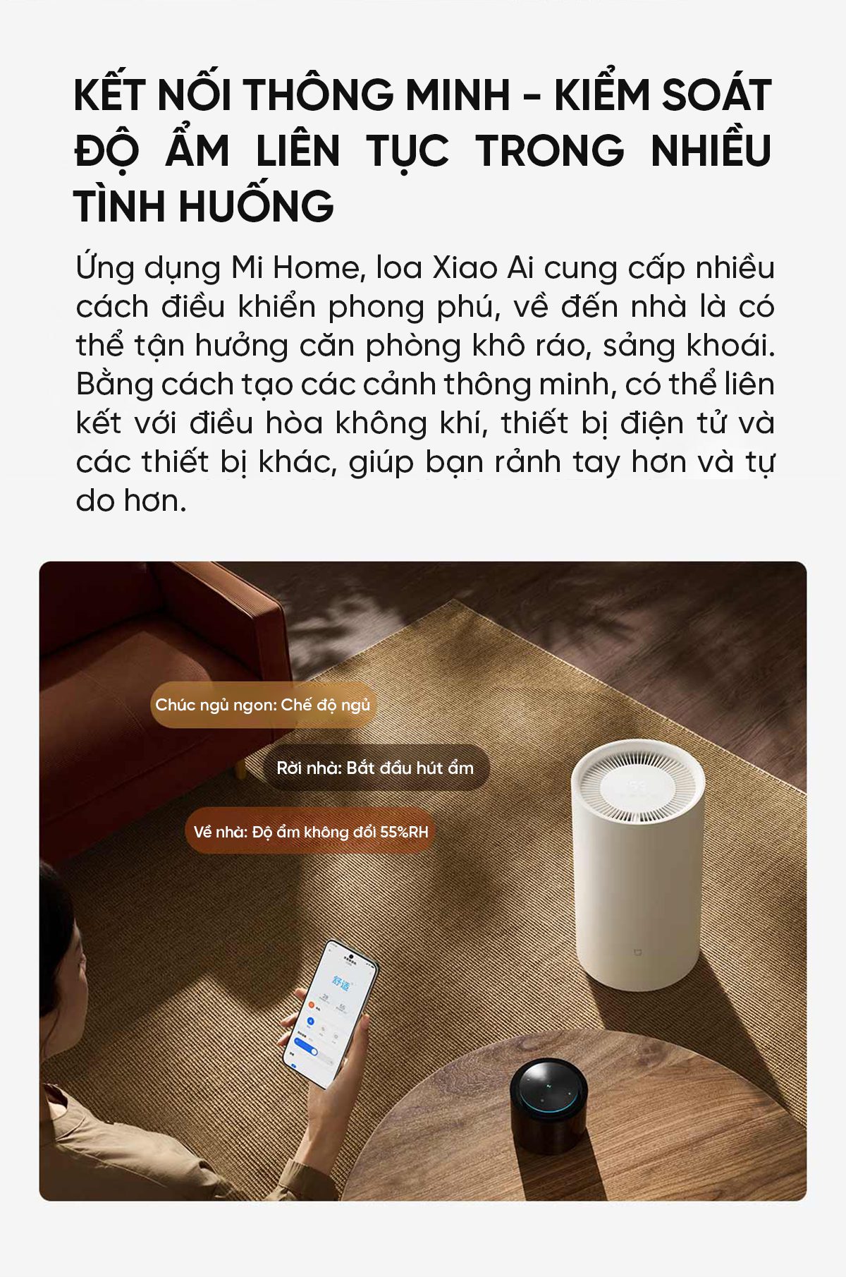 Máy hút ẩm thông minh Xiaomi Mijia 13L