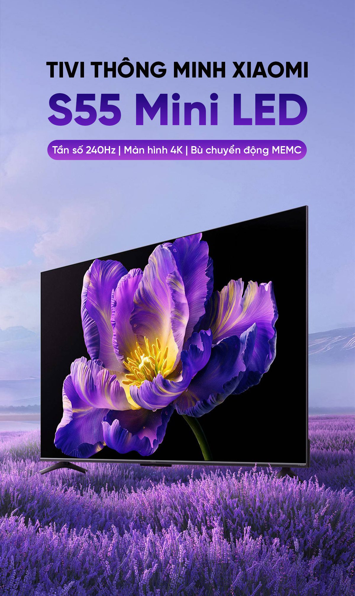 Tivi Xiaomi S 55 Mini LED 55 Inch 240Hz Ram 4/64GB