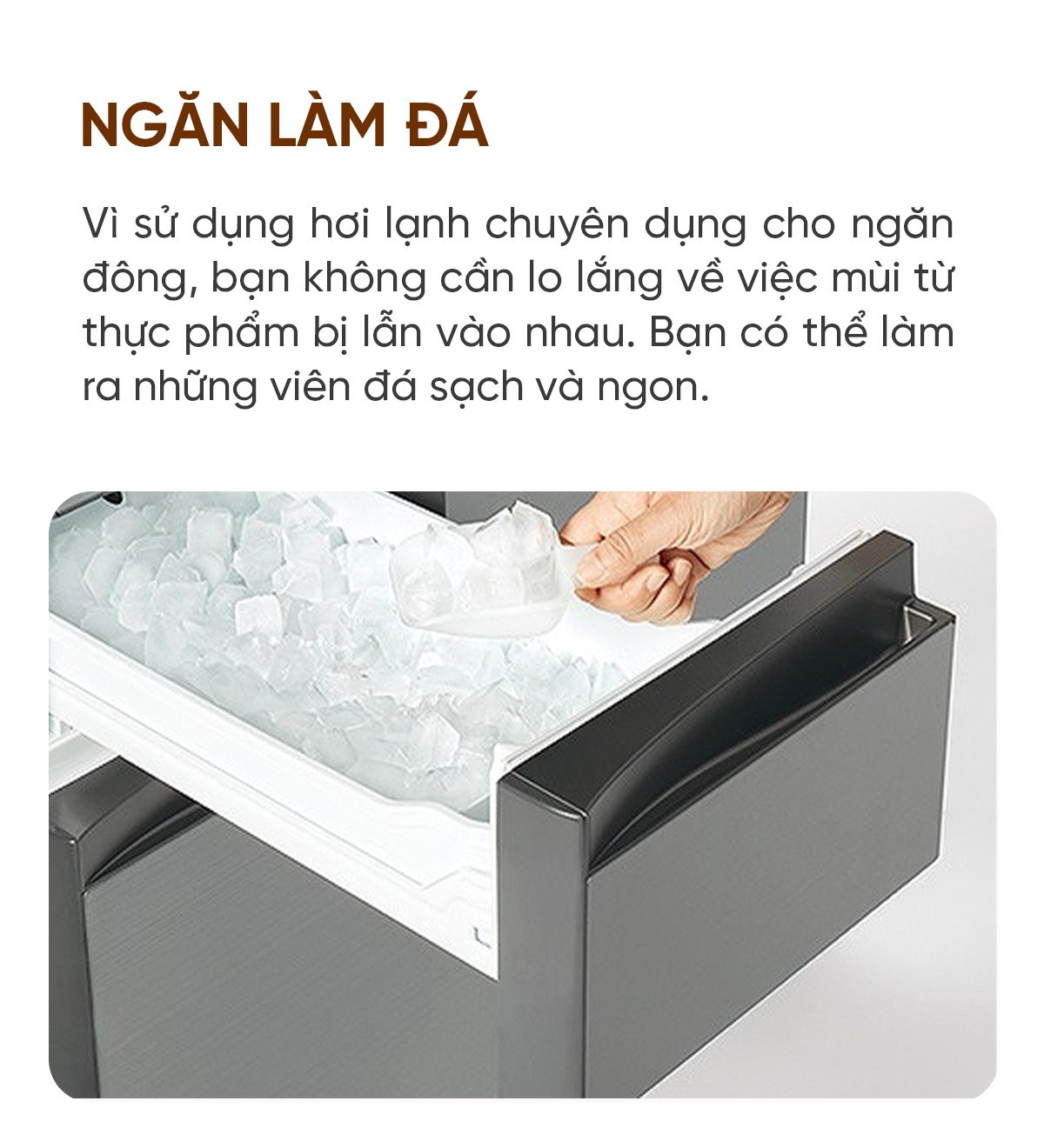 Tủ lạnh Toshiba GR-U500GZ 501L