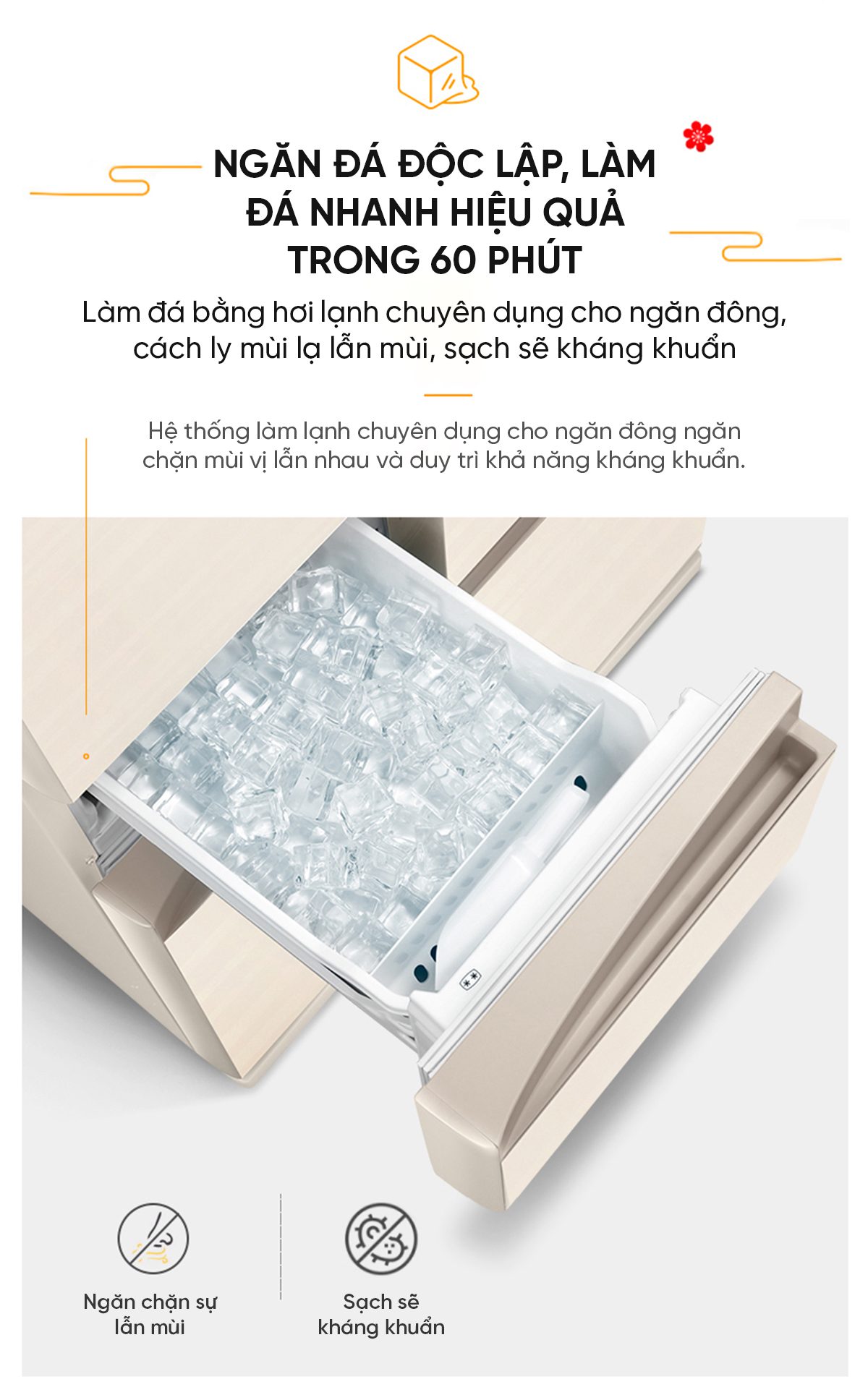 Tủ lạnh Toshiba GR-495WE-PG1A6 471L
