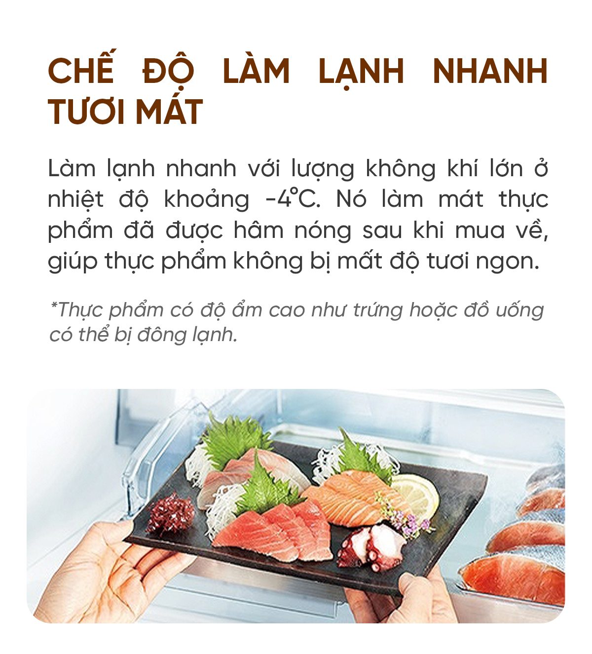 Tủ lạnh Toshiba GR-U500GZ 501L