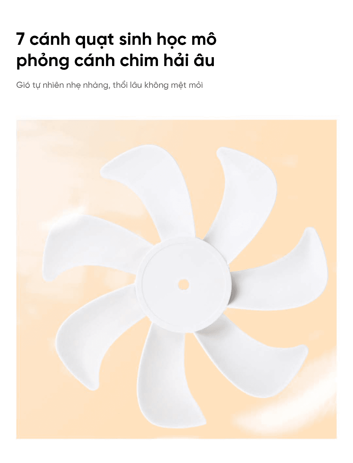 Quạt thông minh tuần hoàn 3 đầu Amadana C8, hoạt động độc lập quay đa chiều